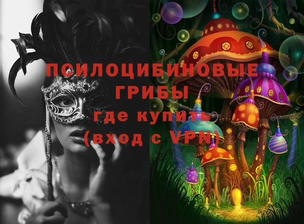 Альфа ПВП Алексин