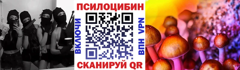 Галлюциногенные грибы Psilocybine cubensis  Лениногорск 